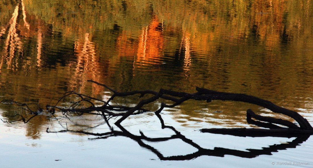 Water & Light photograph by Randall Rissman