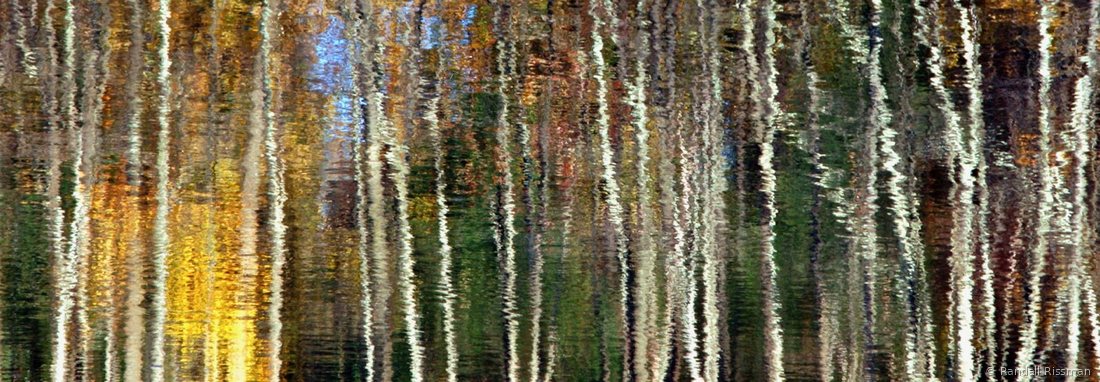 Water & Light photograph by Randall Rissman