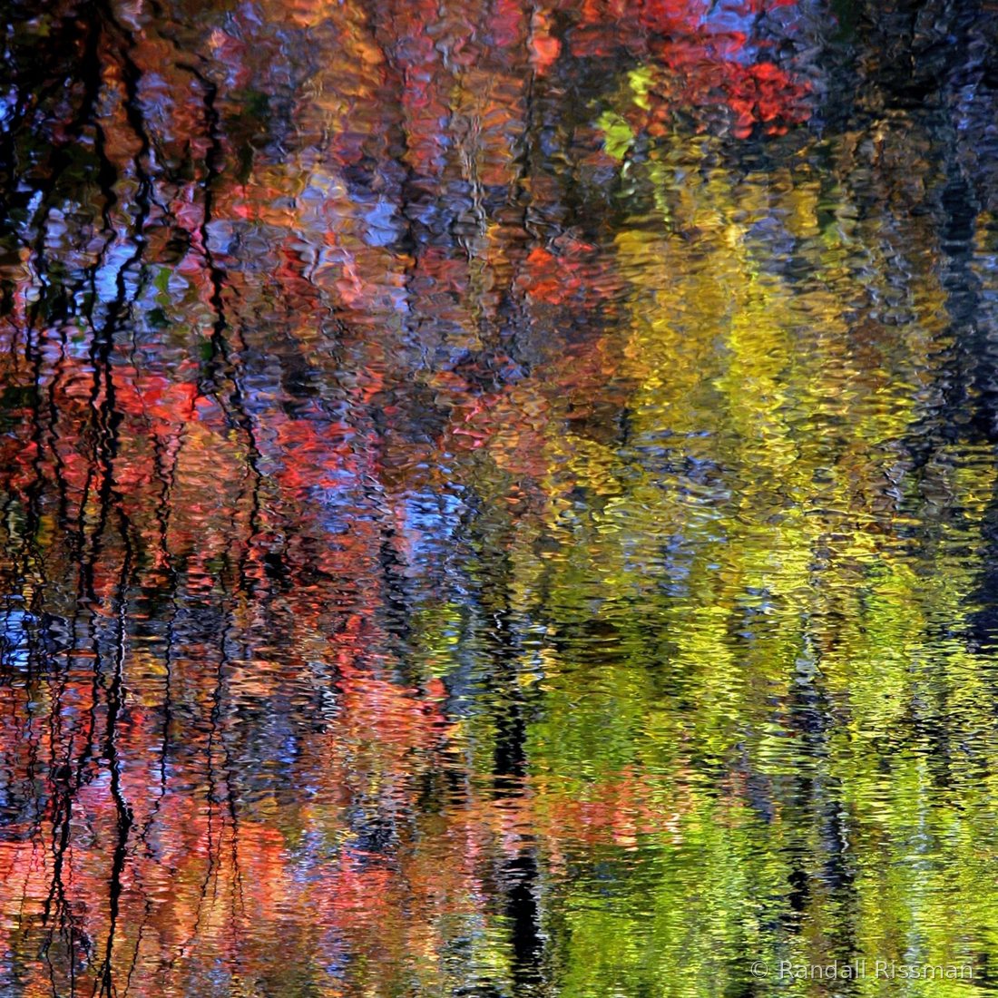 Water & Light photograph by Randall Rissman