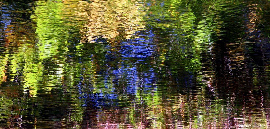 Water & Light photograph by Randall Rissman