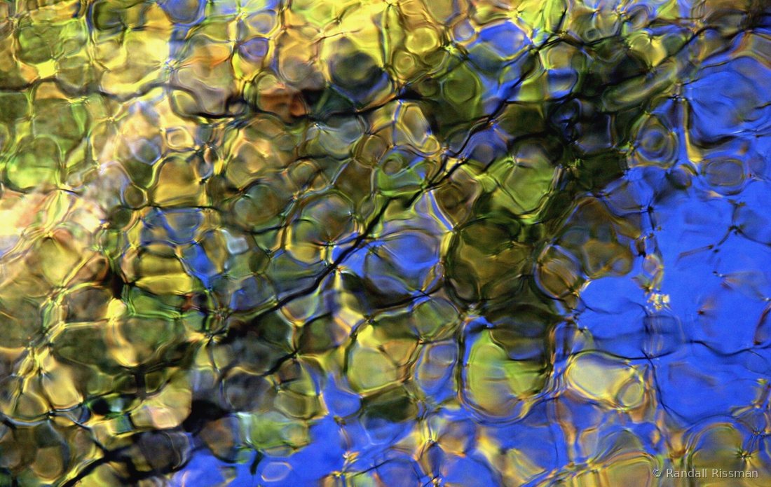 Water & Light photograph by Randall Rissman