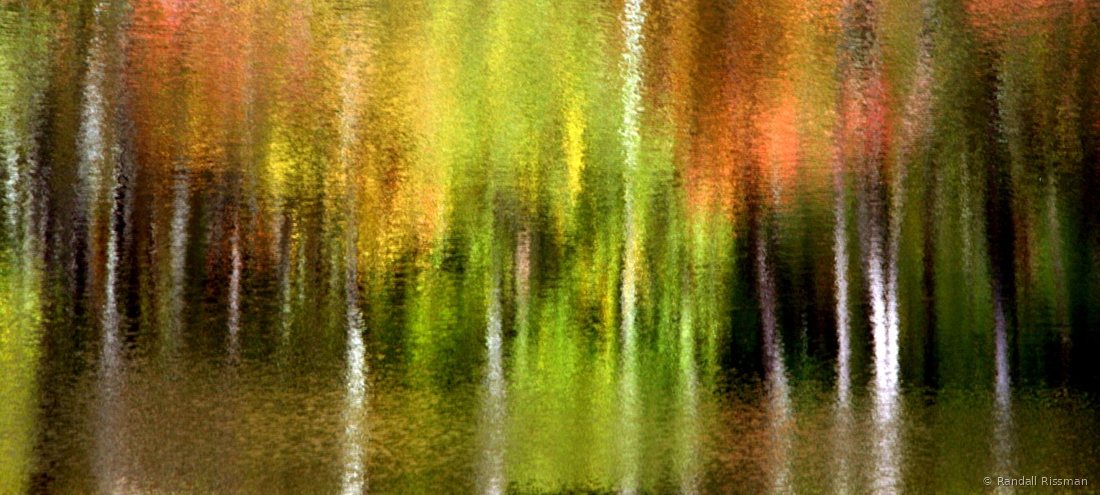 Water & Light photograph by Randall Rissman