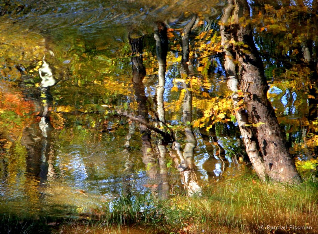 Water & Light photograph by Randall Rissman